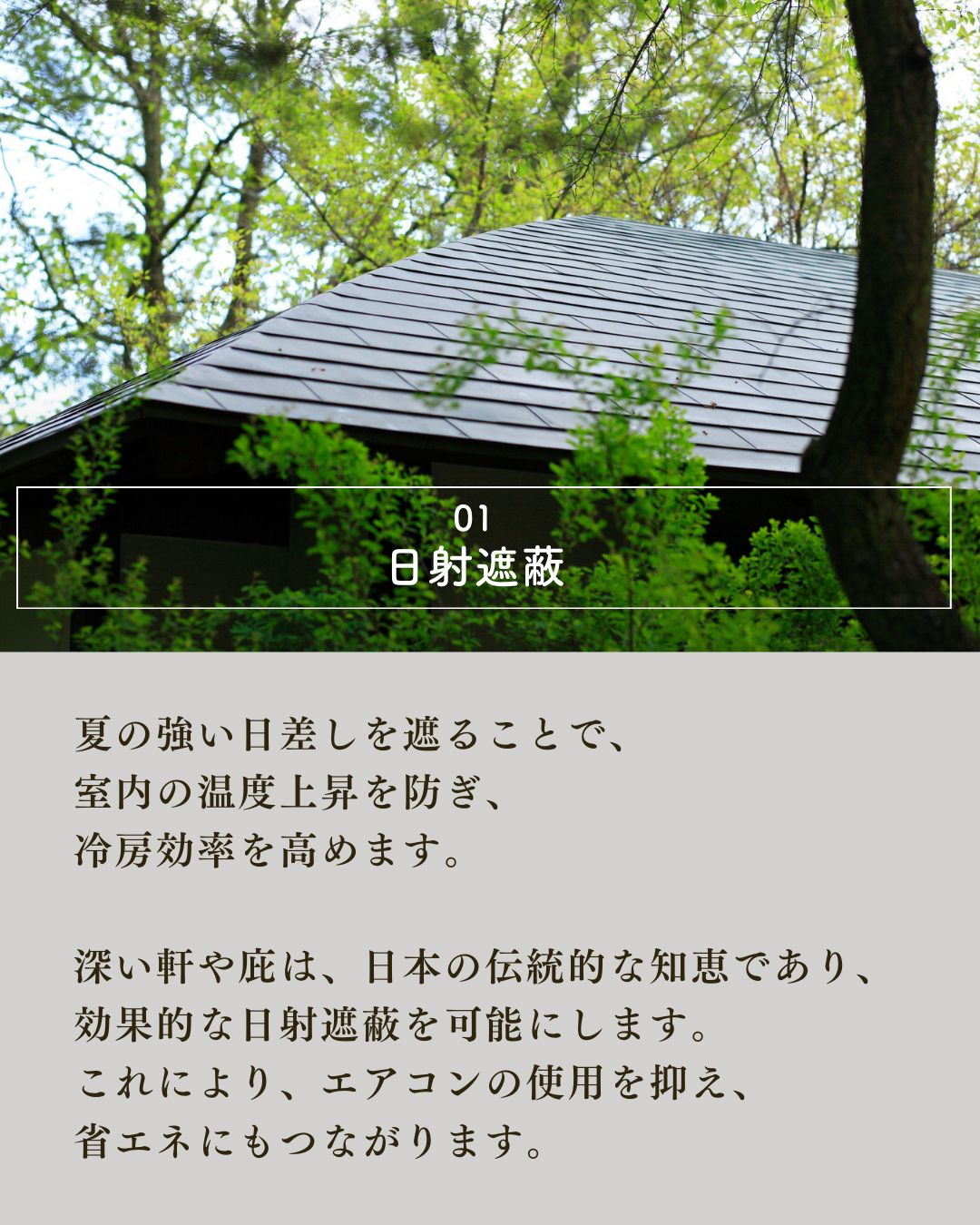 自然の力を活かしたリビングの設計術