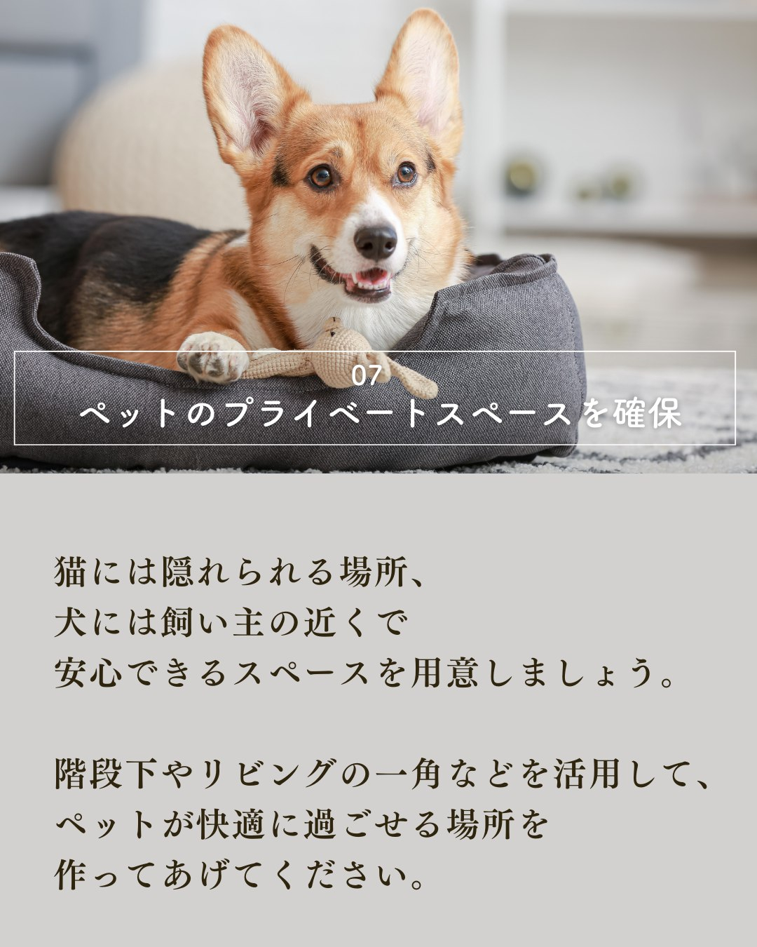 ペットと暮らす家づくりで絶対外せない7つの要素！